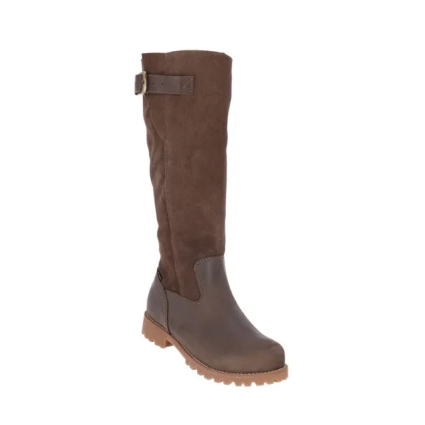 Acheter des bottes Meindl Verbier Lady GTX