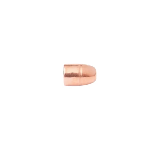 250 OOGIVES CAMPRO RNFP DIAM 458 300G CAL 45/70 REF 4570FCP300CP | WesternGuns