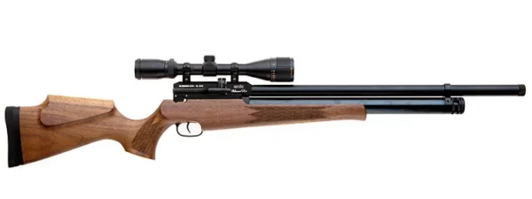 Blizzard
