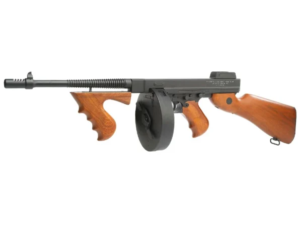 Thompson 1928 kingarms