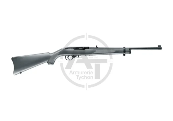 Ruger CO2 10/22