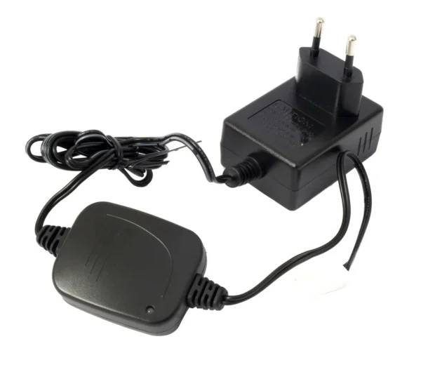 Chargeur de batterie 220 V