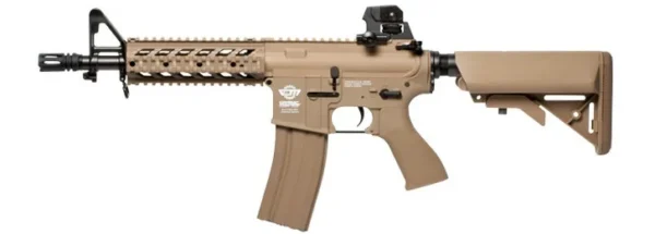 CM16 Raider DST