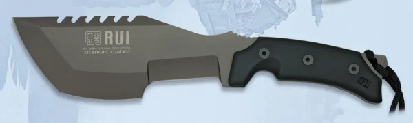 31955