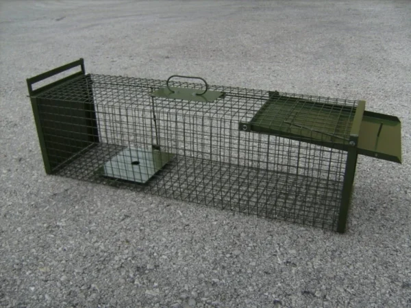 Acheter le piège à cage DAUTH avec une porte rabattable et un curseur de retrait