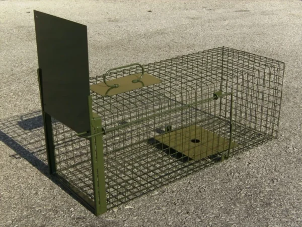 Acheter un piège à cage DAUTH avec une trappe