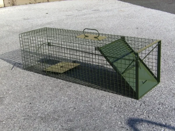 Acheter un piège à cage DAUTH avec une porte rabattable