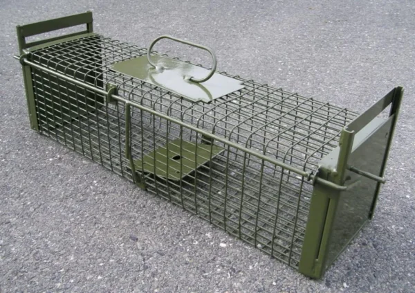Acheter un piège à cage petits animaux DAUTH avec deux trappes