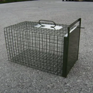 Image du produit