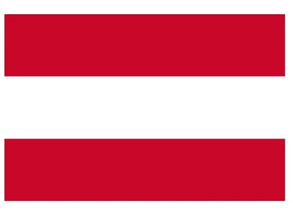 Fahne Österreich – Didi´s Armeeshop