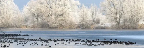 Sous-vêtements thermiques femmes | Chasse en hiver