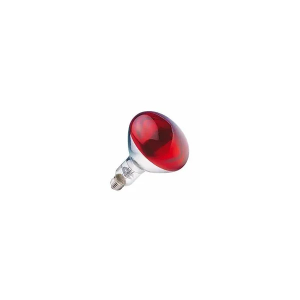 Ampoule infrarouge 175W – Ampoule infrarouge pour l’élevage des…