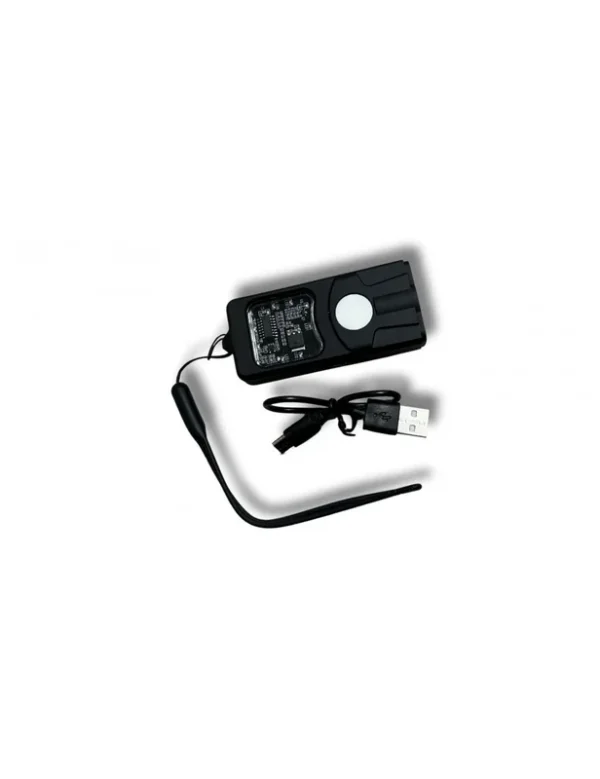 Shocker Électrique – Compact, Rechargeable et Puissant