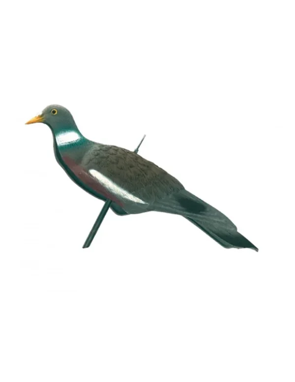Appelant pigeon anglais pour la chasse à la palombe