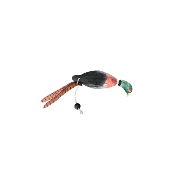 Apportable faisan pour chien de chasse