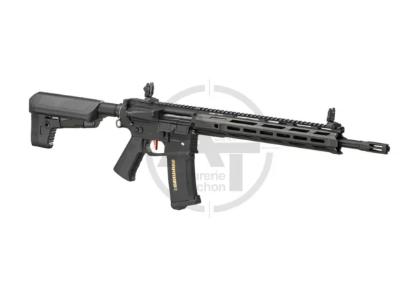 SPR-M DMR