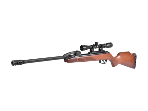 Gamo Fast Shot 10x IGT avec lunette 4X32