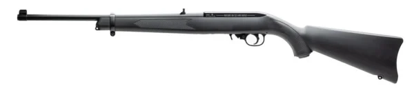 Ruger 22/10