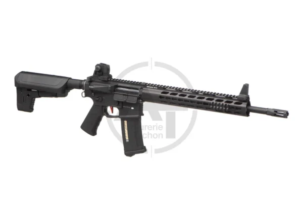 SPR DMR