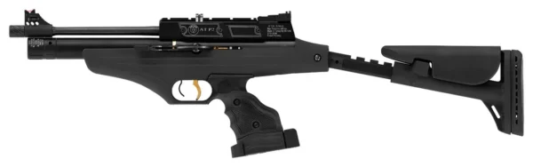 AT-P2