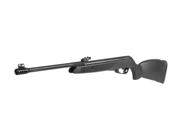 Gamo Black Bear