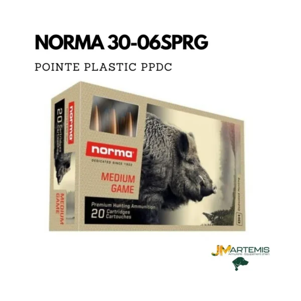 Balle NORMA 30-06 SPRG POINTE PLASTIC PPDC