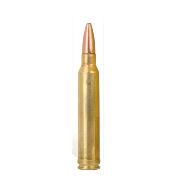 Balles de chasse Remington Cal. 300 Win – Tout-Chasse.fr