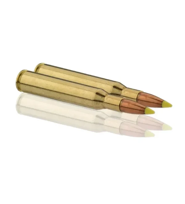 Balles de chasse Sologne .270 Win – Tout-Chasse.fr