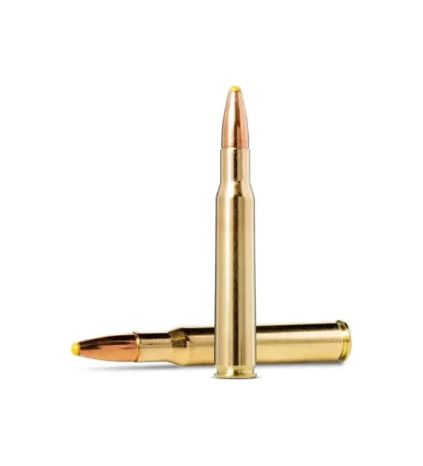 Balles Norma Plastic Point 308 Win. 180gr – Tout-Chasse.fr