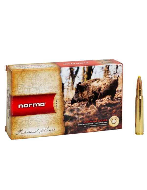 Balles Plastic Point 300WinMag PPDC 180gr 11.7g Bte 20 – NORMA