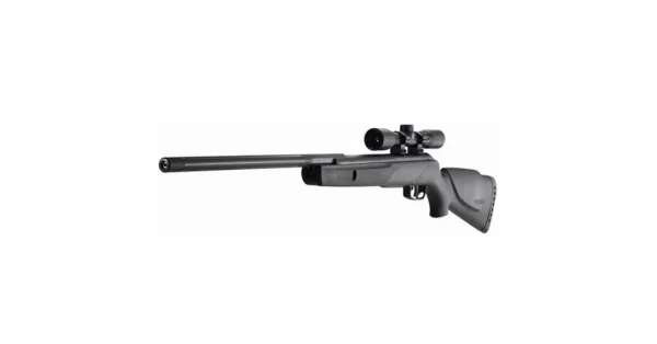 Carabine à air Gamo Big Cat 1250 turbo – Tir de loisir/Carabine à plomb – securicount