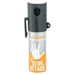 Image du produit précédent