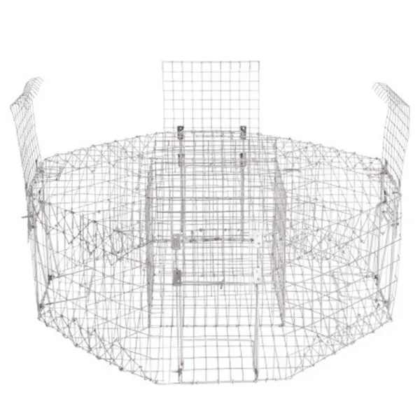 Acheter Cage à Pies – Piège Robuste et Efficace | toutpourlahutte.fr