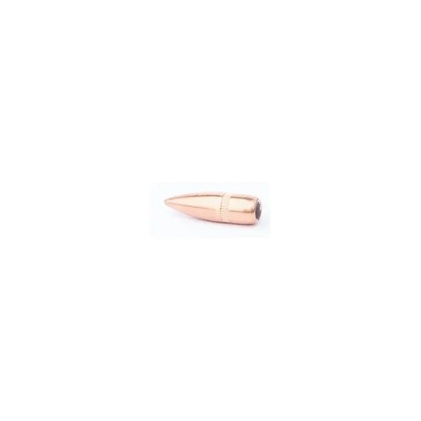 Ogives CAM PRO .223 FMJ 55gr x500 – Rechargement 5.56 / .223 Rem
