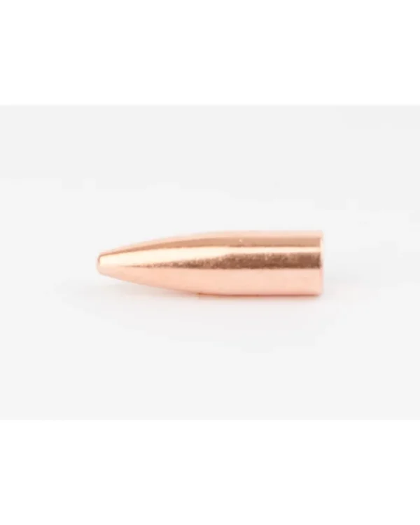 Cam Pro Calibre .308 SP-FCP 165 grains X500