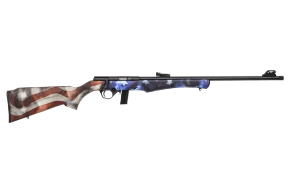 CARABINE ROSSI 8122 22LR USA