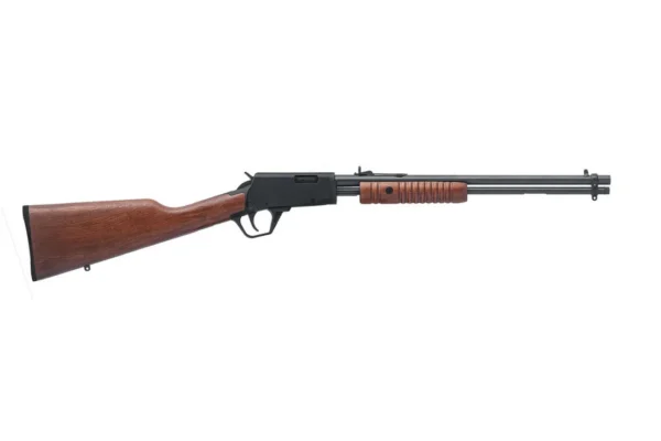 CARABINE GALLERY BOIS 22LR