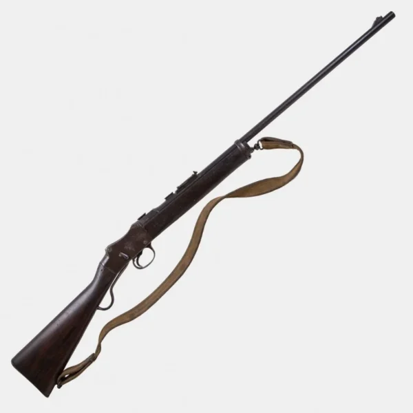 Carabine Martini-Enfield CG Bonehill 1886 Cal. .22 LR