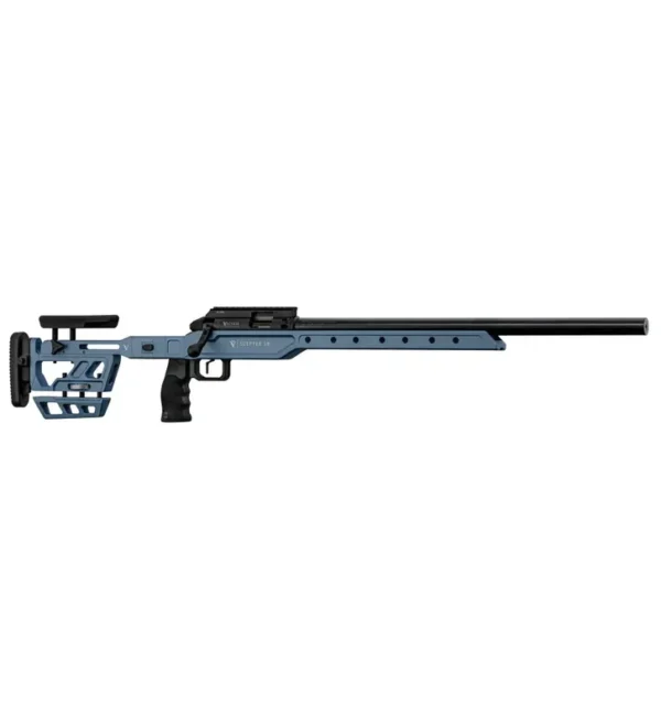 Carabine monocoup à verrou Victrix Scepter Small Bore 22LR – Tout-Chasse.fr