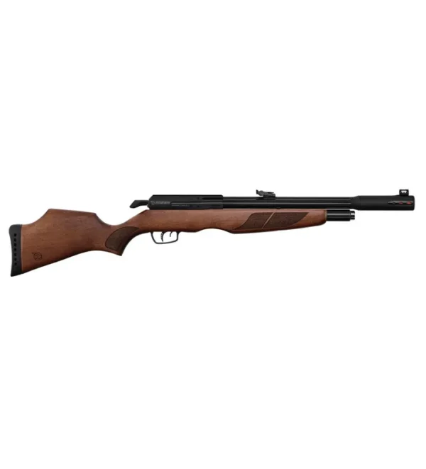 Carabine PCP Gamo RISER Punisher Cal. 5,5 mm 40 Joules – Tout-Chasse.fr