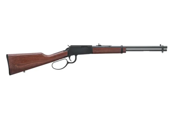 Carabine Rossi Rio Bravo .22 LR — Gun Project Reims