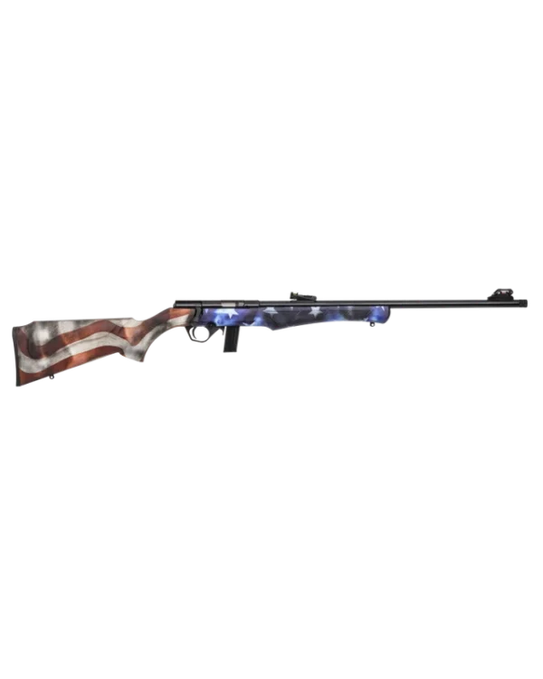 PACK CARABINE ROSSI 8122 22LR USA + Lunette 4×32 + RDS