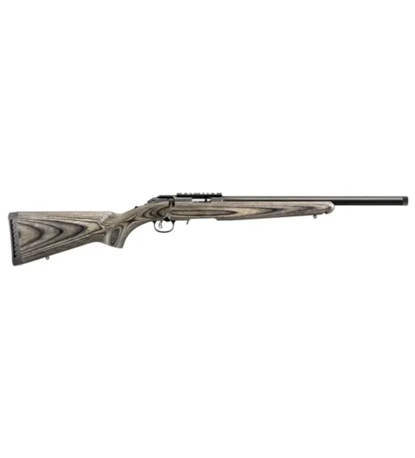 Carabine Ruger American Rimfire Target – Tout-Chasse.fr