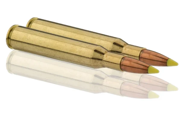 Sologne .270 Win Nosler Ballistic Tip 130 gr / 8,4 g – .270 Win Ballistic Tip 130 gr / 8.4 g
