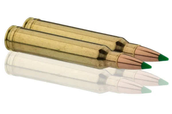 Sologne .300 Win. Mag. Nosler Partition – .300 Win Mag Partition 180 gr / 11.7 g