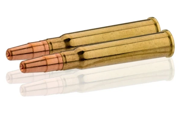 Sologne 8×57 JRS GPA 196 gr / 12,7 g – 8×57 JRS GPA 196 gr / 12.7 g