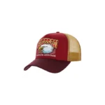 Image du produit suivant