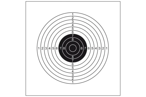 Acheter Cibles Cartonnées 14×14 cm – Shoot Again | toutpourlahutte.fr