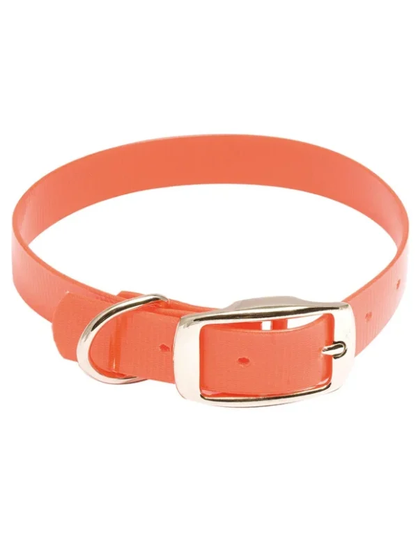 Collier Biothane Orange Fluo 50cms – COUNTRY