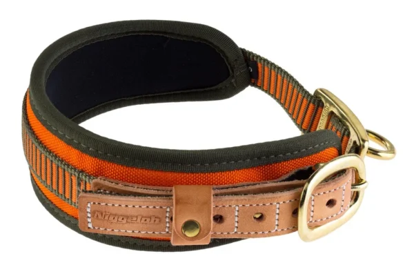 Collier chien de sang orange fluo – Niggeloh – Taille S – Tour de cour 40/50 cm.